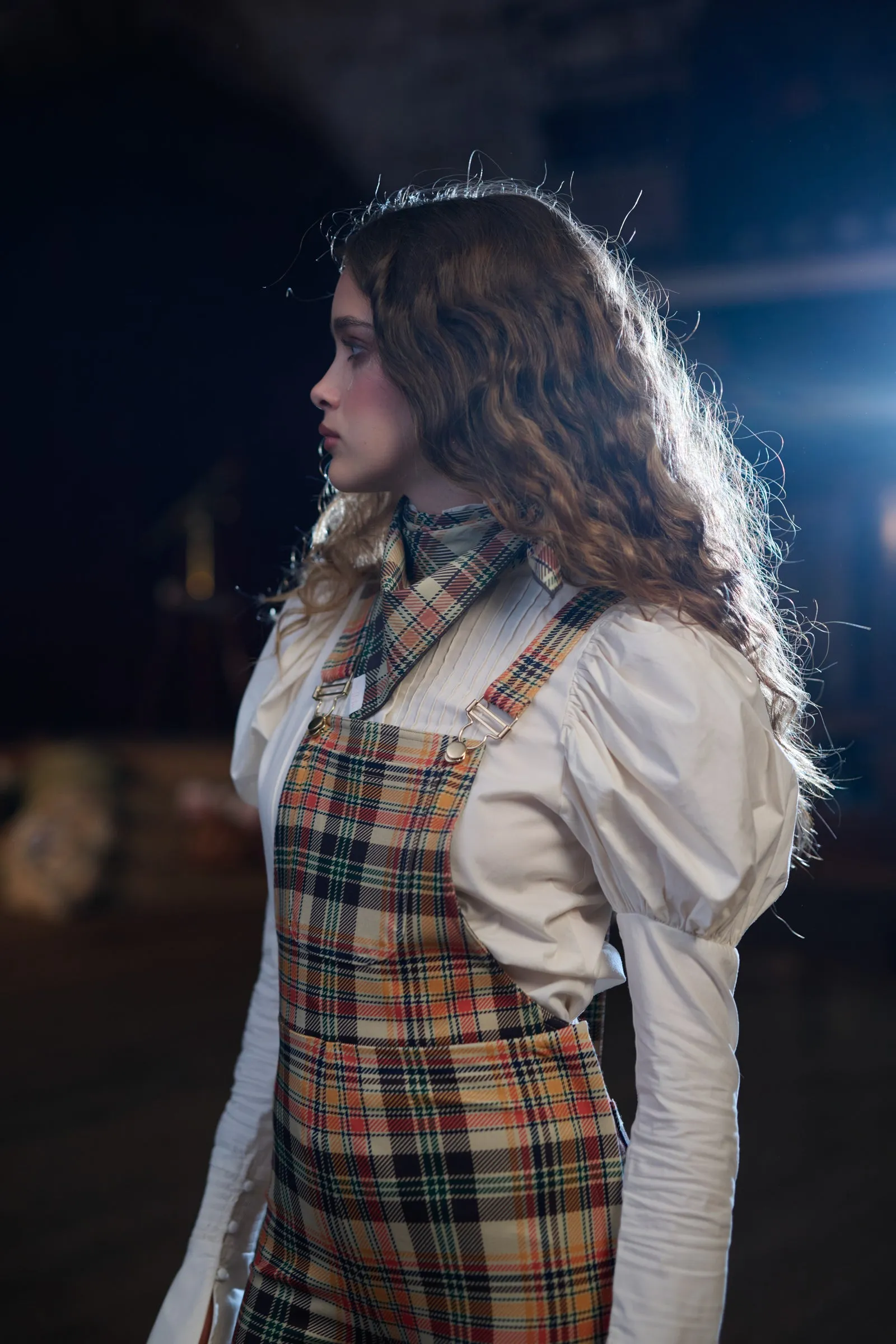 The Pointer Picnic Basket Overalls